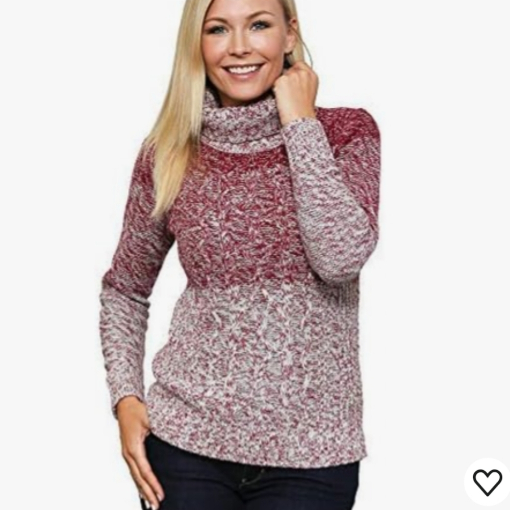 Leo & Nicole Ombre Cable Knit Turtle Neck Sweater Size Small